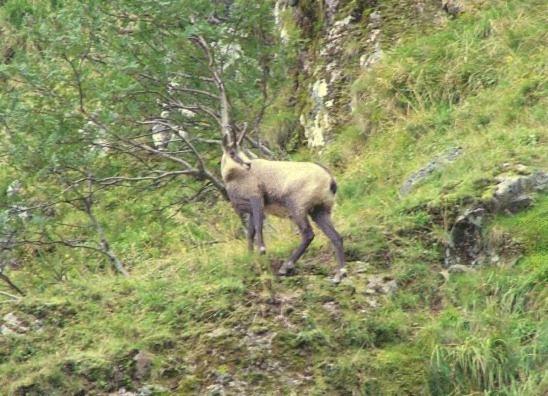 Hotel Restaurant Wolf Markstein Kültér fotó